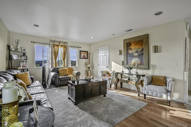 living room featuring hardwood / wood-style floors