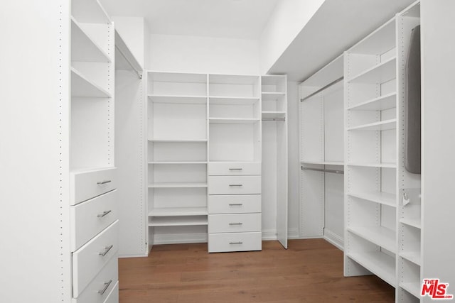 walk in closet with dark hardwood / wood-style flooring