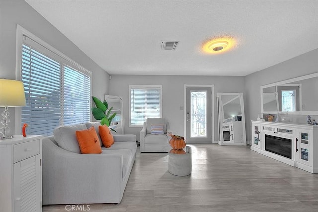 living room with a textured ceiling