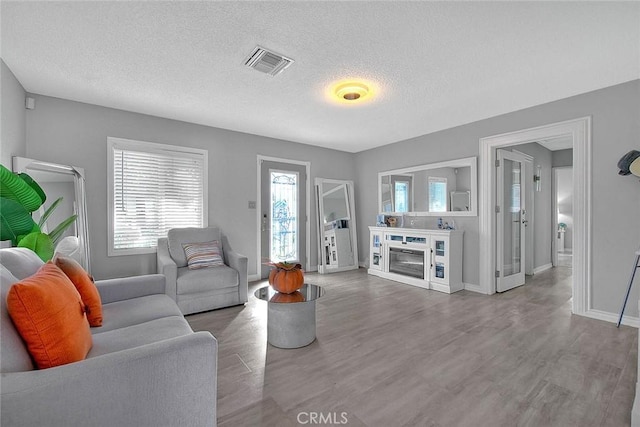 living room with a textured ceiling and hardwood / wood-style flooring