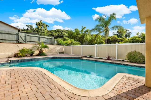 view of swimming pool