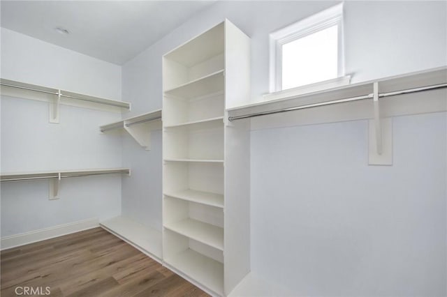 walk in closet featuring dark hardwood / wood-style flooring