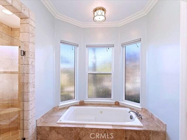 bathroom with crown molding and separate shower and tub