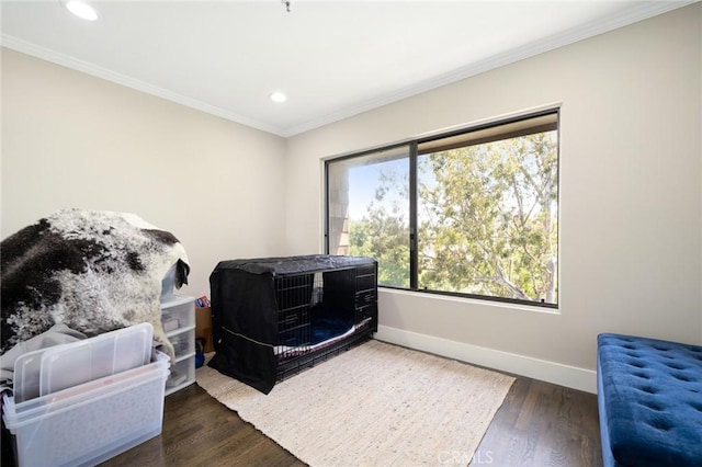 bedroom featuring crown molding and dark hardwood / wood-style flooring