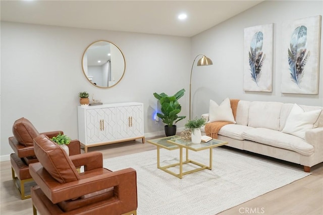 living room with light hardwood / wood-style flooring