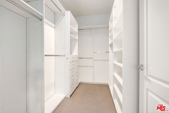 walk in closet with light colored carpet