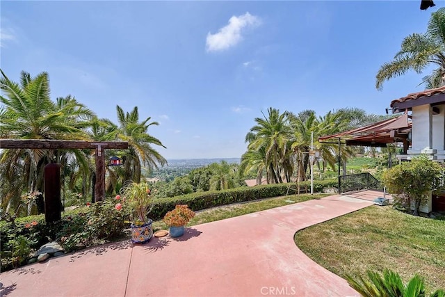 view of property's community featuring a lawn