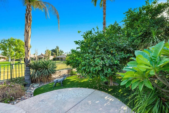 view of yard featuring a patio