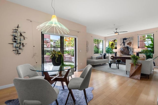 dining space featuring ceiling fan with notable chandelier and light wood-type flooring