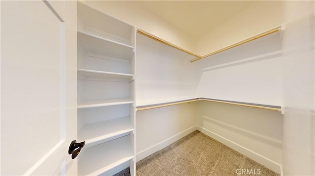 spacious closet featuring carpet