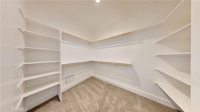 spacious closet with carpet floors