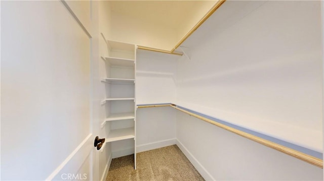 spacious closet featuring light colored carpet