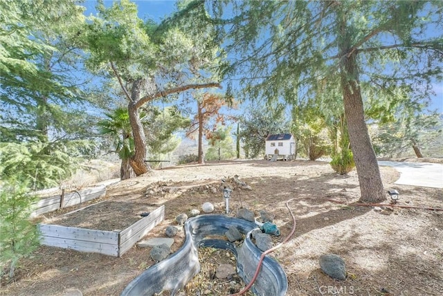 view of yard with an outbuilding