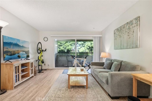 living room with light hardwood / wood-style floors