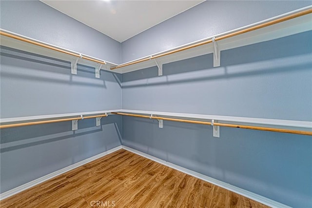 spacious closet with hardwood / wood-style flooring