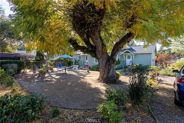 view of yard with a patio area