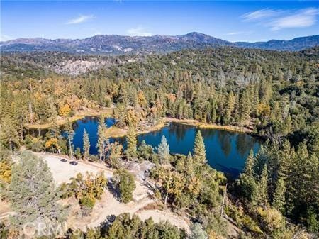 birds eye view of property with a water and mountain view