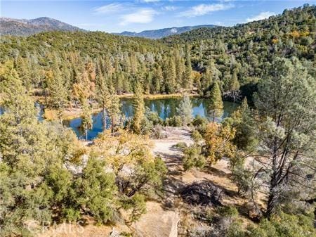 birds eye view of property with a water and mountain view