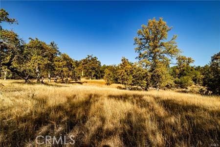 view of local wilderness featuring a rural view