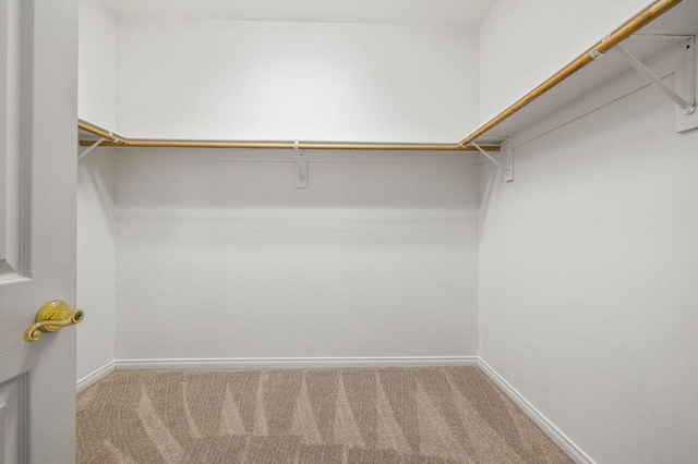 spacious closet with carpet flooring