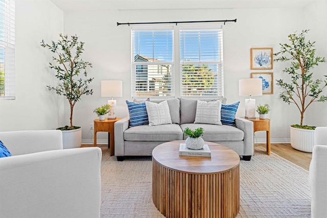 living room featuring plenty of natural light and light hardwood / wood-style flooring