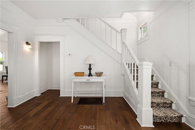 stairs featuring hardwood / wood-style flooring