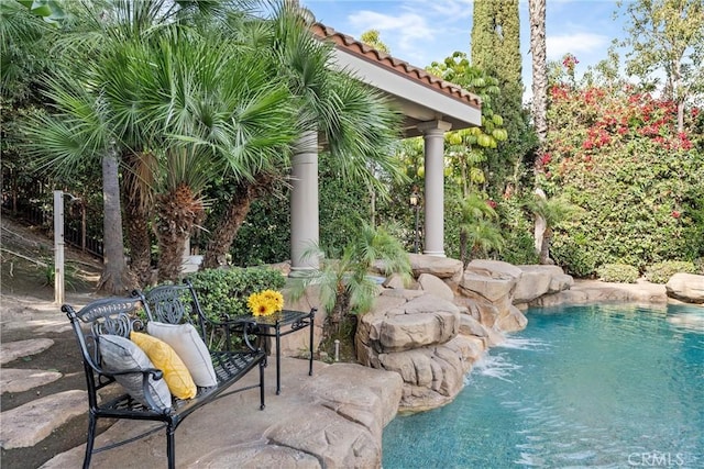 view of swimming pool with pool water feature