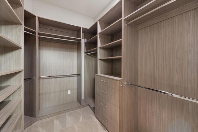 spacious closet with light colored carpet