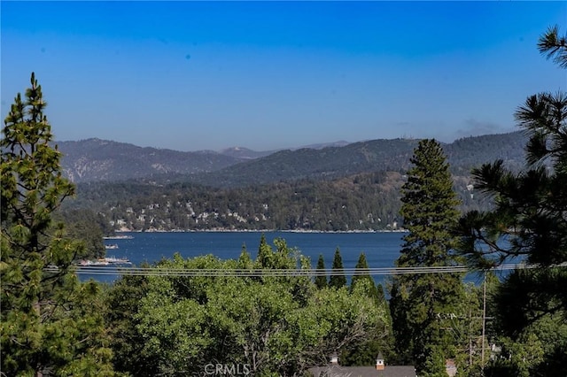 view of water feature with a mountain view