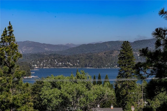 27554 N Bay Rd, Lake Arrowhead, CA 92352 - water view with a mountainous background and a forest