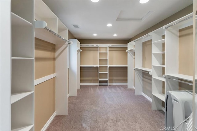 walk in closet with carpet flooring