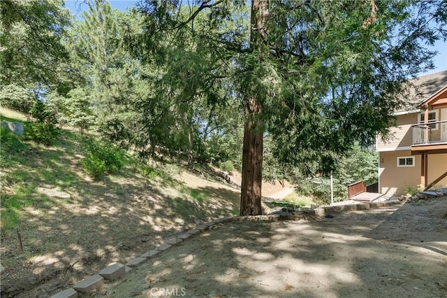 27554 N Bay Rd, Lake Arrowhead, CA 92352 - view of yard
