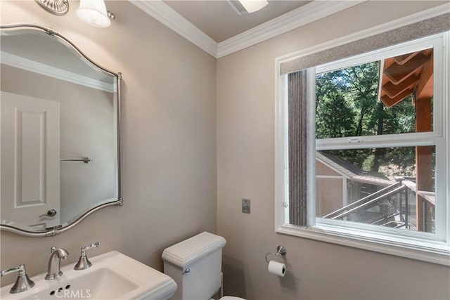 bathroom with crown molding, sink, and toilet