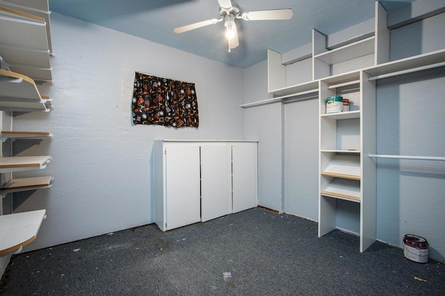 spacious closet featuring dark colored carpet and ceiling fan