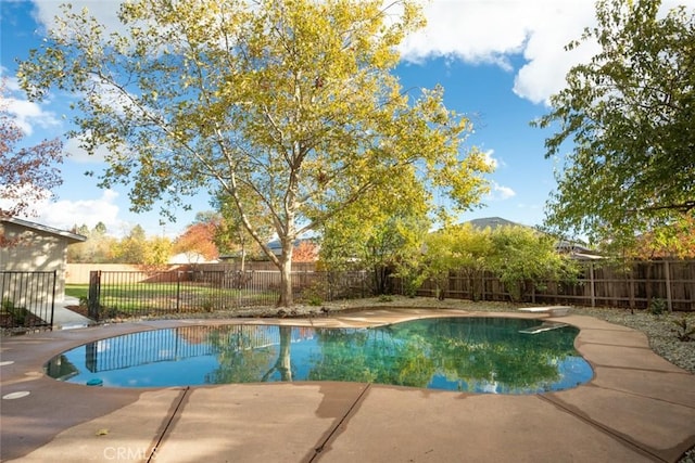 view of pool with a patio area and a diving board