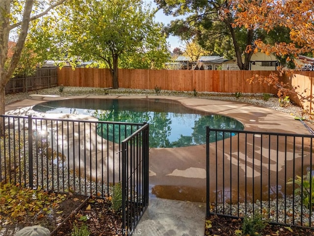 view of pool with a diving board