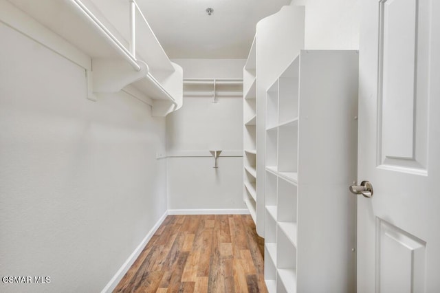 walk in closet with hardwood / wood-style floors