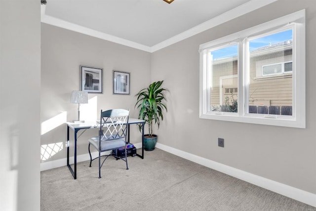 office space featuring crown molding and light colored carpet