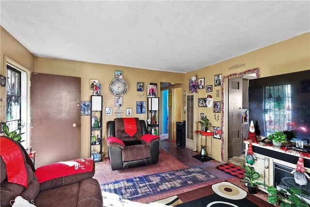 living area with a textured ceiling