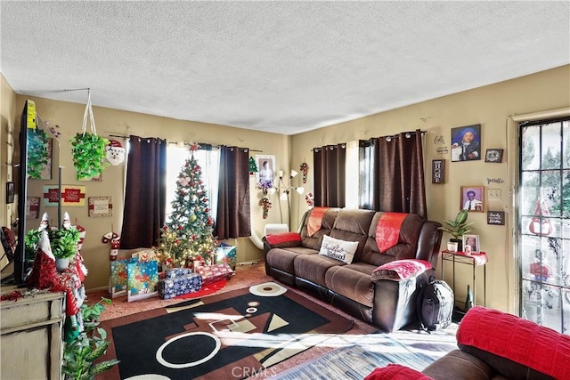 living room with a textured ceiling