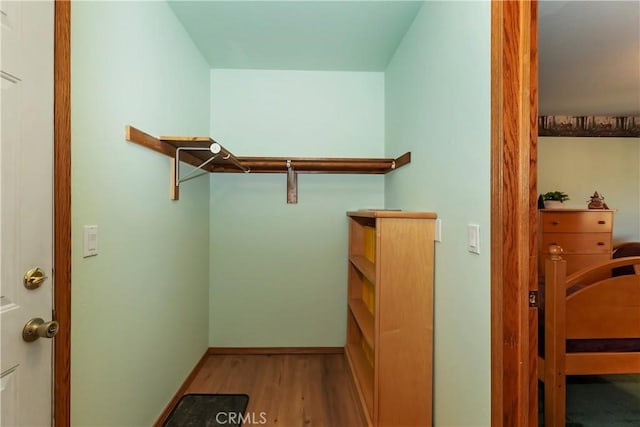 spacious closet with light hardwood / wood-style flooring