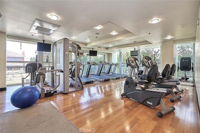 workout area with hardwood / wood-style floors and a healthy amount of sunlight