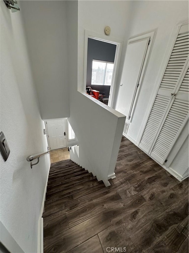 staircase featuring wood-type flooring