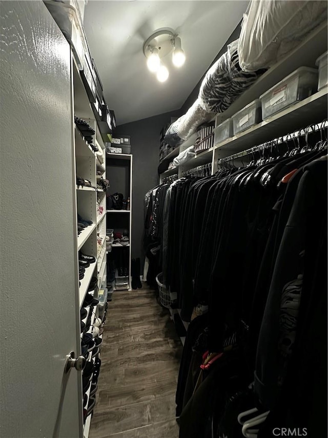 walk in closet with dark hardwood / wood-style flooring