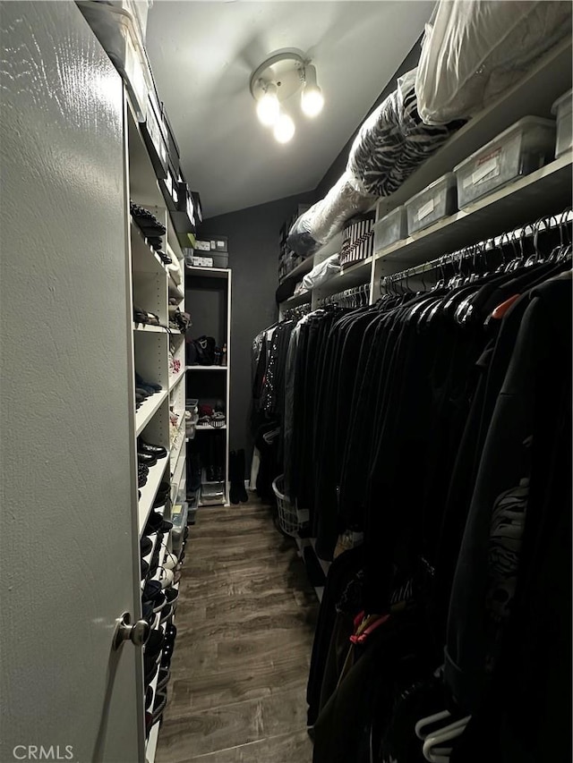 spacious closet with dark wood-type flooring
