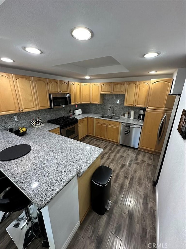 kitchen featuring kitchen peninsula, stainless steel appliances, a tray ceiling, dark wood-type flooring, and sink