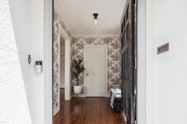 hallway with crown molding and dark wood-type flooring