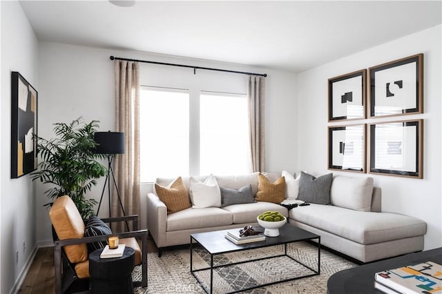 living room with hardwood / wood-style flooring