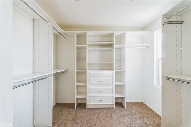 spacious closet featuring light carpet