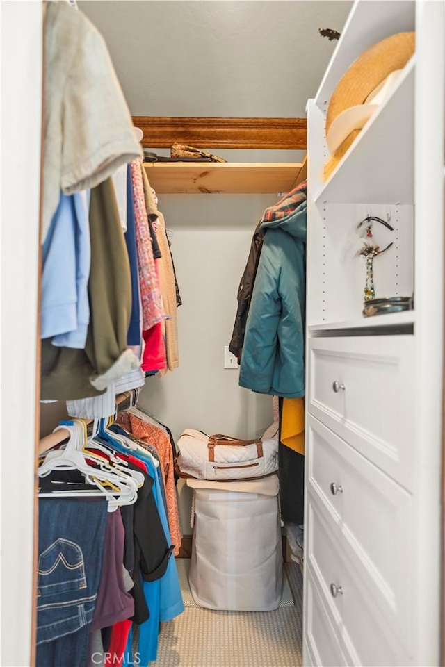 view of spacious closet